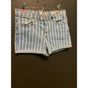 Pacsun Striped Denim Shorts